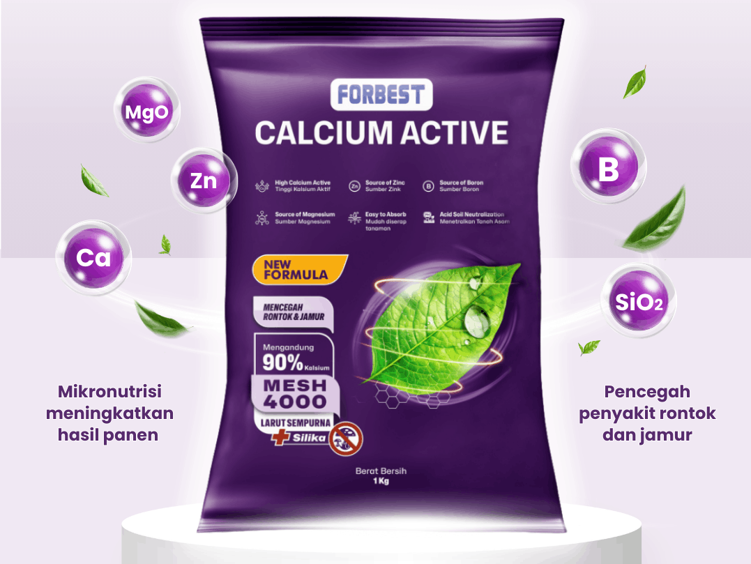 Forbest Benteng Perlindungan Akar dari Serangan Jamur