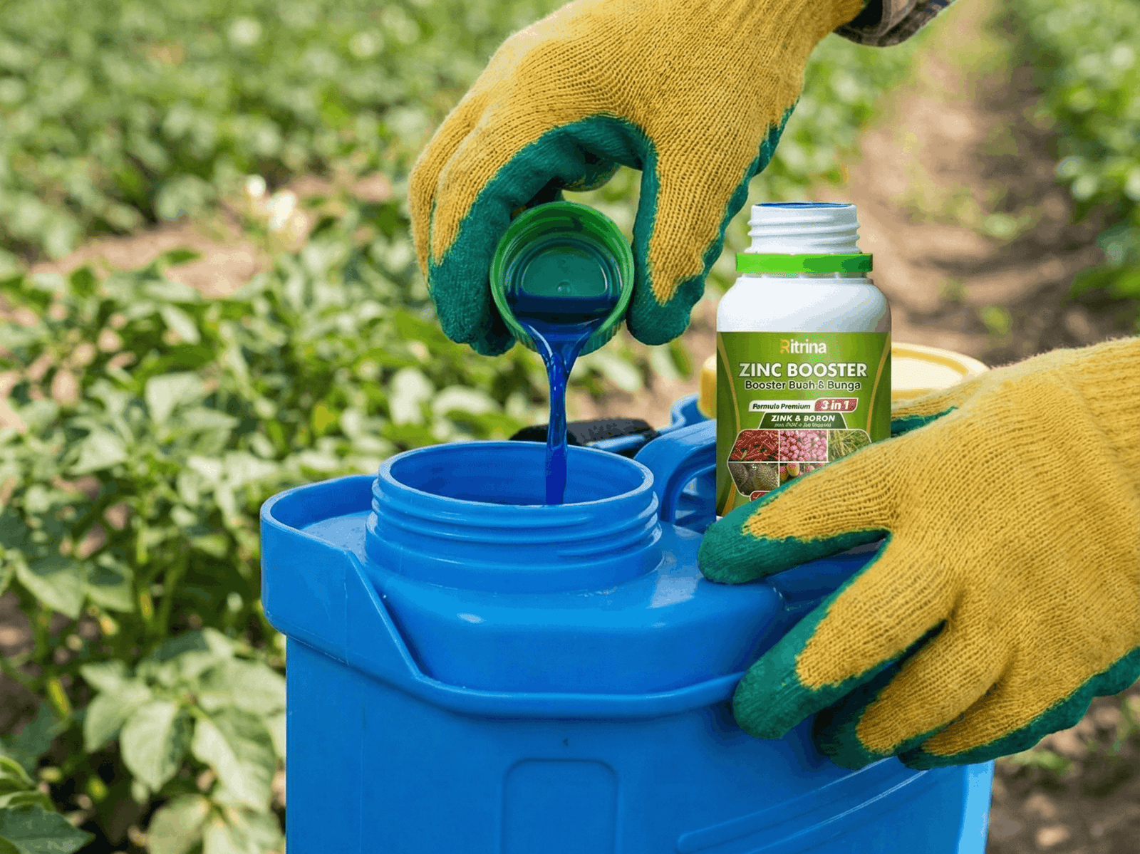 Hasil Panen Memuaskan dengan Ritrina