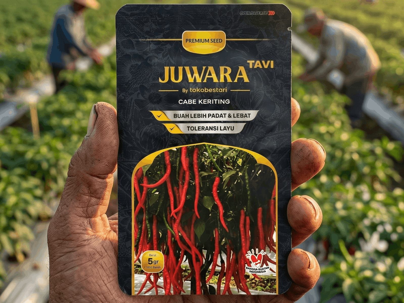 Wujudkan Panen Raya dengan Cabai Merah Keriting Juwara Tavi