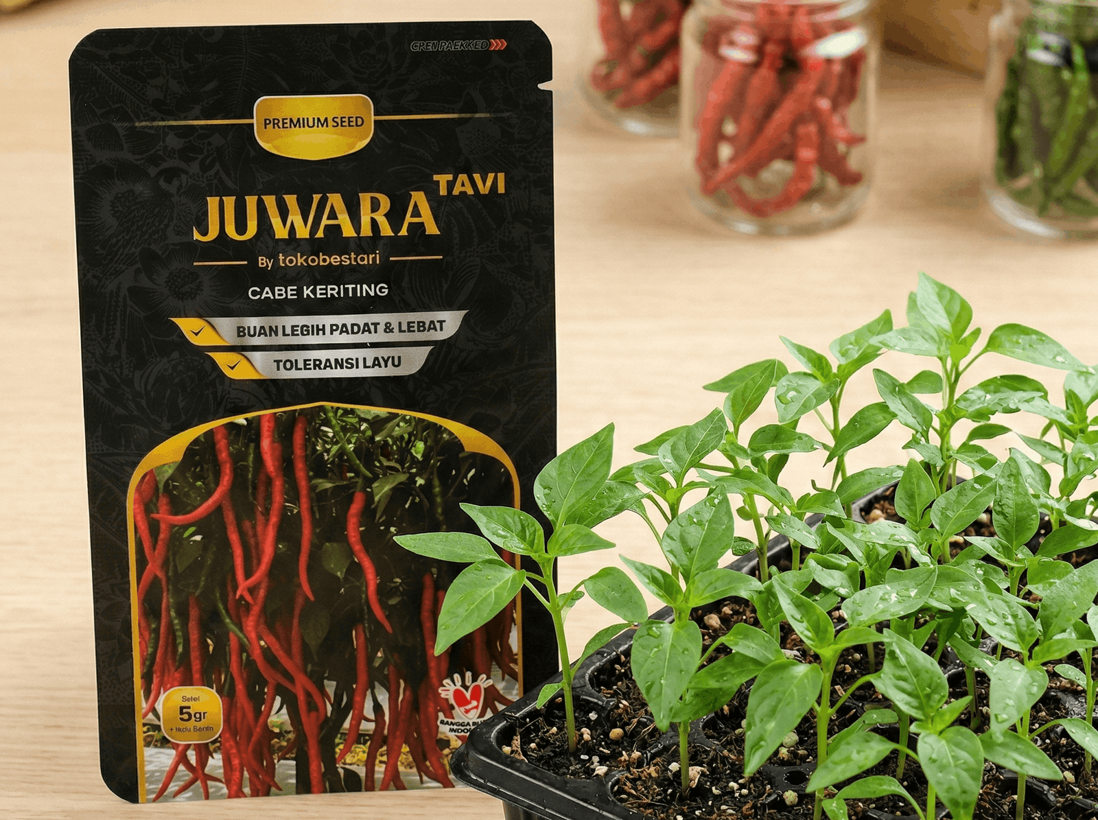 Mengapa Petani Harus Menggunakan Benih Cabe Juwara Tavi