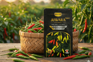 Cabai Rawit Merah Juwara Tavi Benih Unggul Panen Melimpah