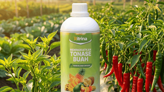 Nutrisi Ritrina Pacu Tunas Muda Sehat Untuk Hasil Panen Maksimal