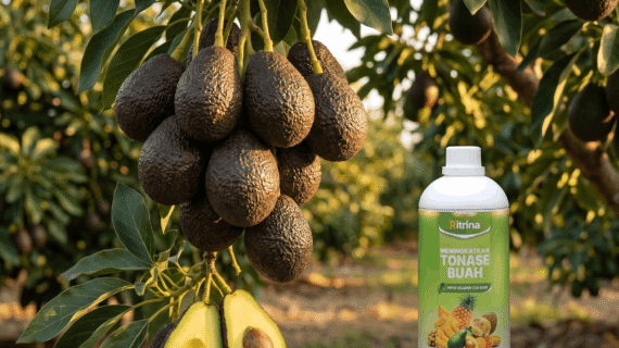 Ritrina Booster Buah Grade A Kaya Unsur Hara Mikro Esensial